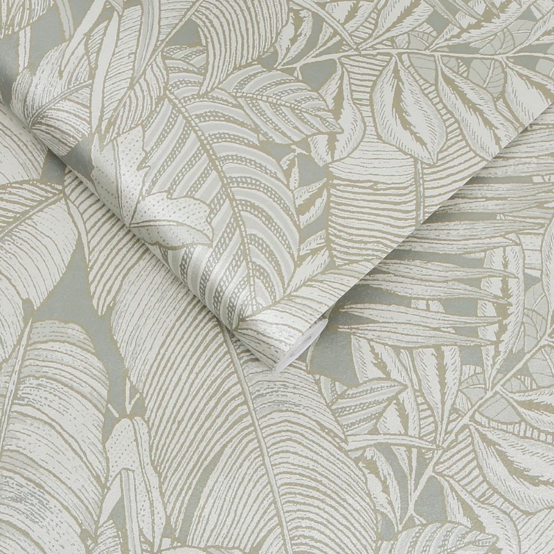 Picture of Paradys Sage - 119670