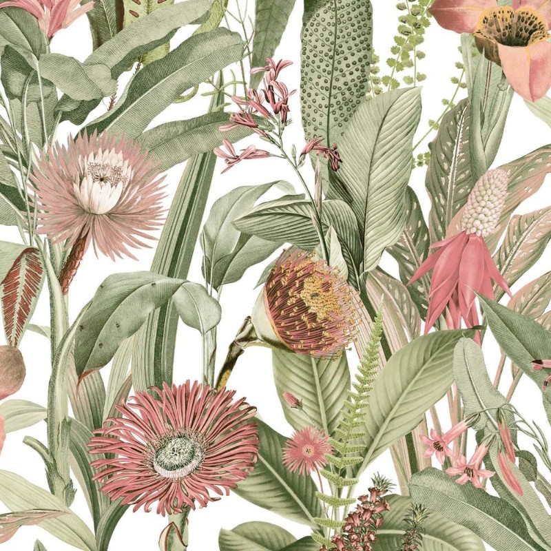 Picture of Tigerlily Lush - 118024