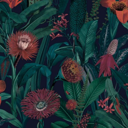 Picture of Tigerlily Midnight - 118023