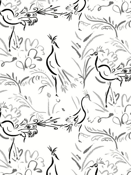 Picture of Birds - Birds001