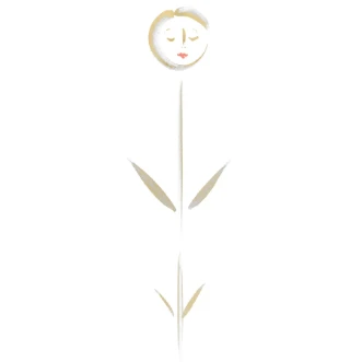 Picture of Silene Wallflower - SILENE002