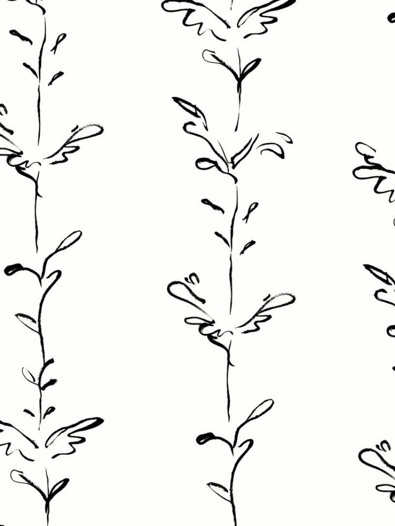 Picture of Stem - Stem001