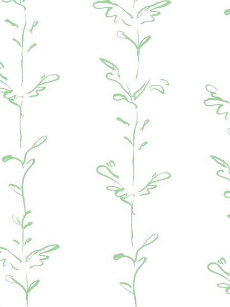 Picture of Stem - Stem003