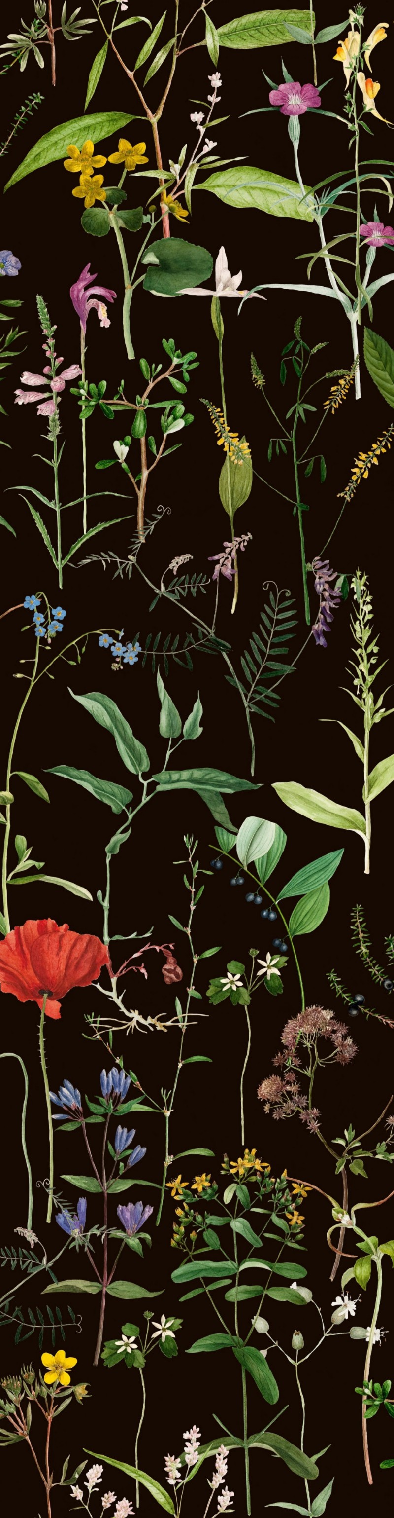 Picture of Aquafleur Anthracite - WP20173