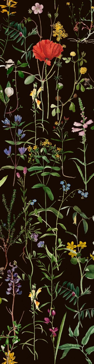 Picture of Aquafleur Anthracite - WP20173