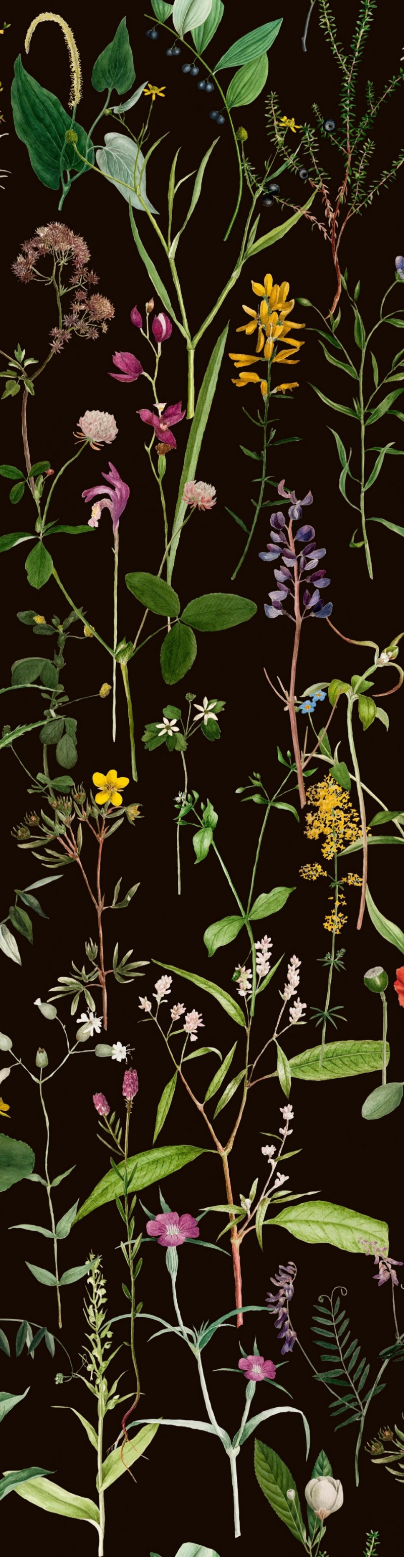 Picture of Aquafleur Anthracite - WP20173