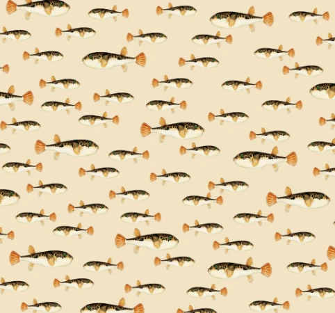 Picture of Follow my Fin Mural - Mur-Basic-Follow-4*2.80