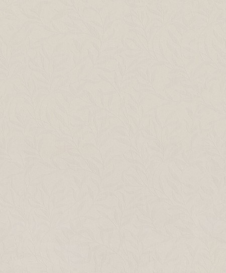 Picture of Willow - 221350