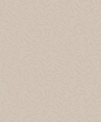 Picture of Willow - 221351