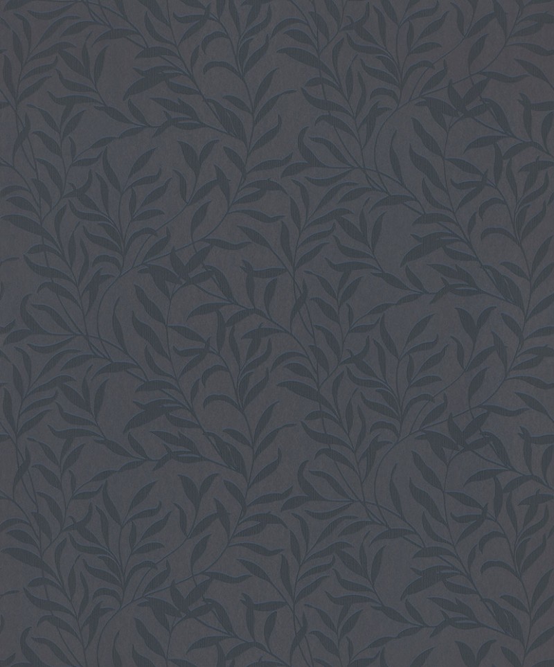 Picture of Willow - 221352