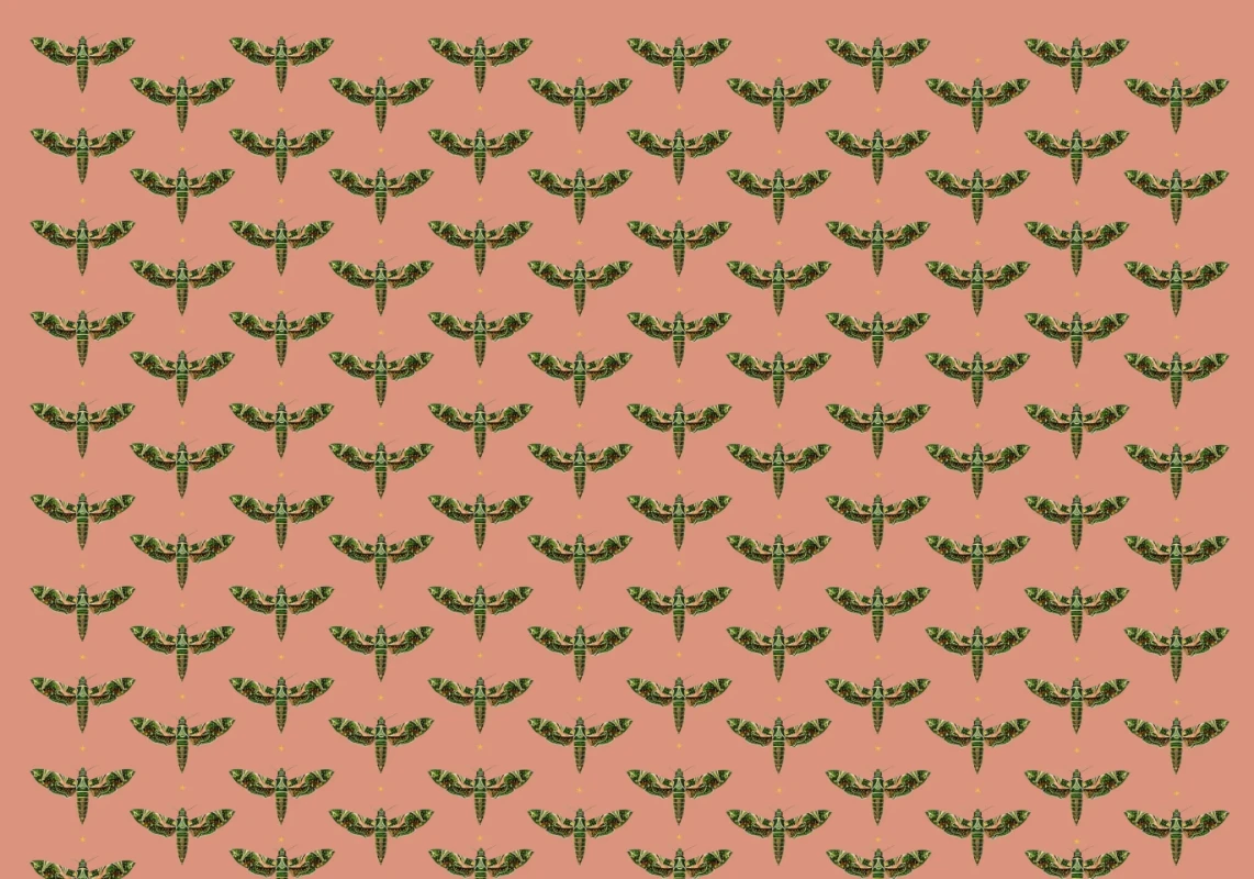 Picture of Dusty Pink Wallpaper Mural 4mx2.80 - MUR-Dusty-Basic-4*2.80