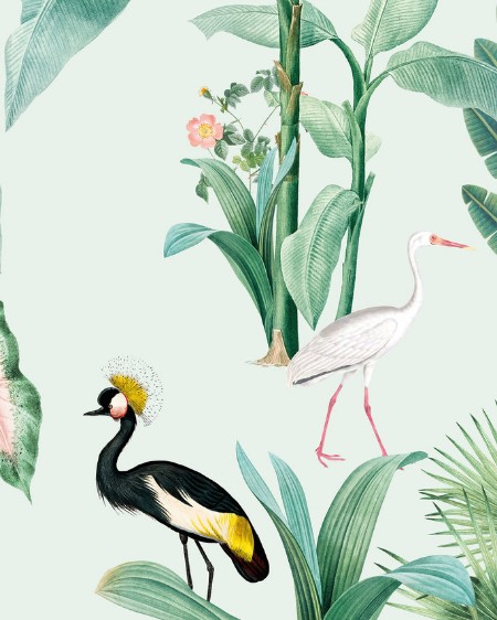 Picture of Pelican Wallpaper Mural 4mx2.80 - MUR-Pelican-Basic-4*2.80