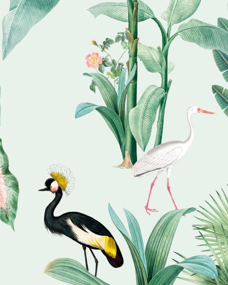 Picture of Pelican Wallpaper Mural 4mx2.80 - MUR-Pelican-Basic-4*2.80