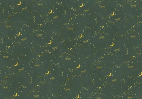 Bild på Stargazer Wallpaper Mural 4mx2.80 - MUR-Stargazer-Basic-4*2.80