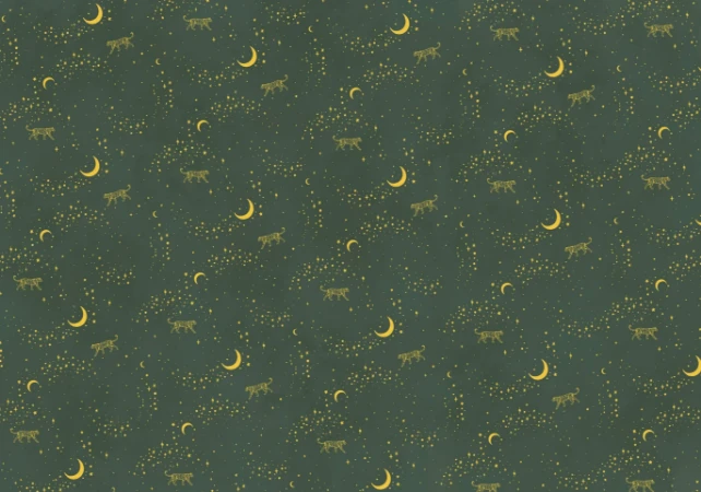Picture of Stargazer Wallpaper Mural 4mx2.80 - MUR-Stargazer-Basic-4*2.80