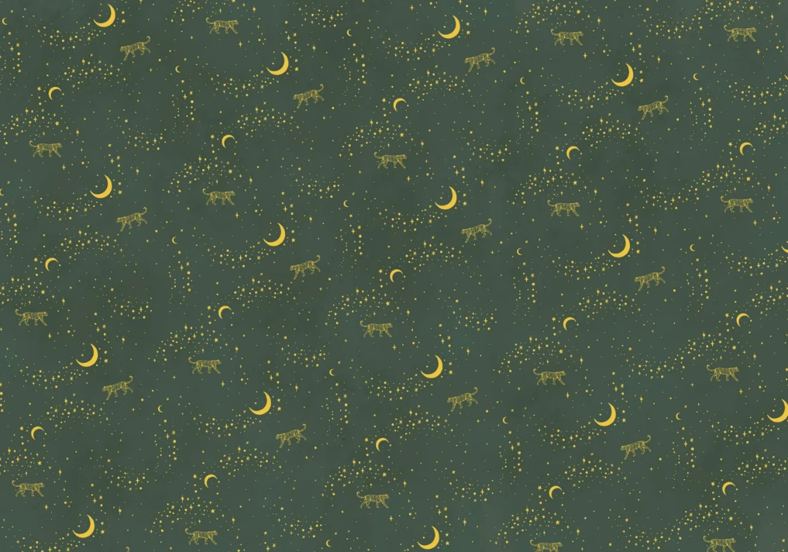 Picture of Stargazer Wallpaper Mural 4mx2.80 - MUR-Stargazer-Basic-4*2.80