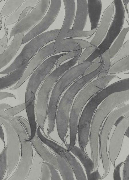 Picture of Crop Fossils Onyx - A00128N