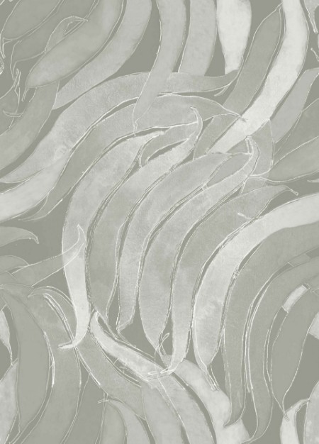 Picture of Crop Fossils Quartz - A00126N