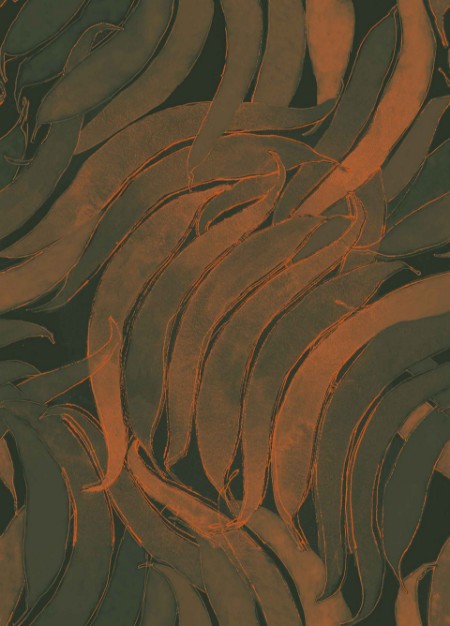 Picture of Crop Fossils Terracotta - A00127N