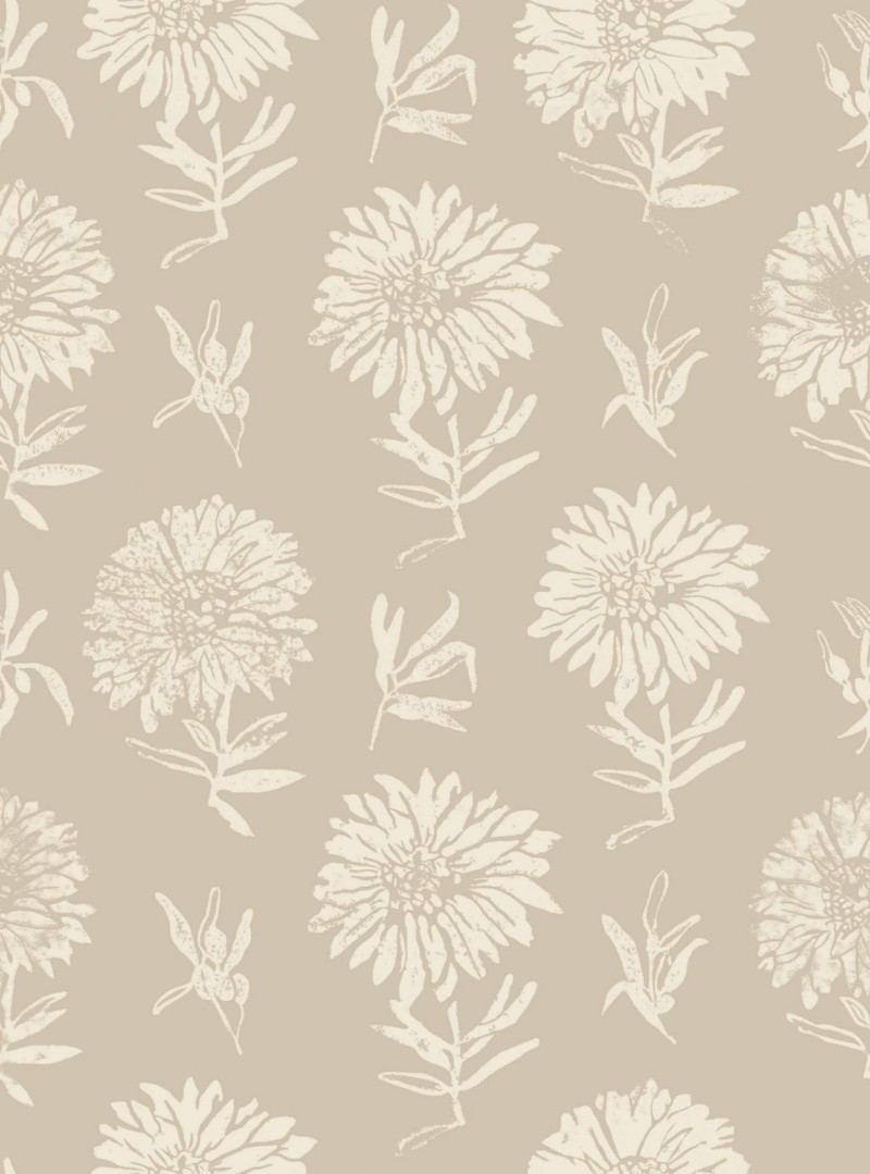 Bild på Parterre Cisne - A00634N