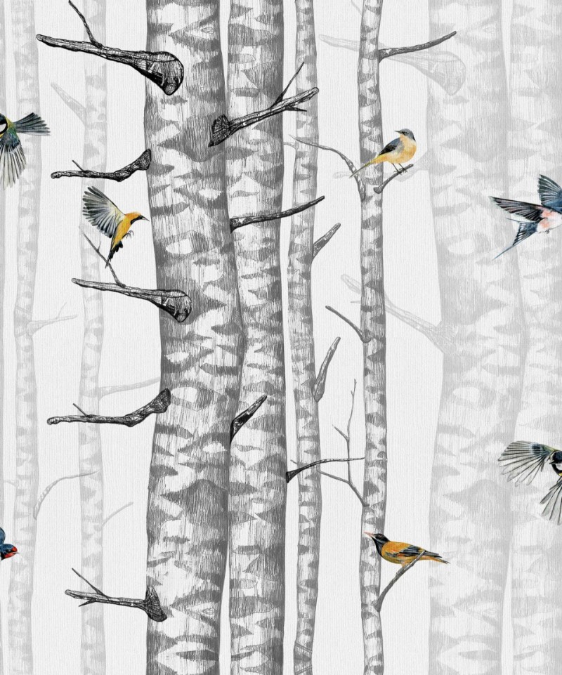 Picture of Birch Trees Grey - 9500040N