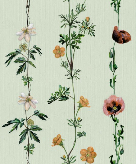 Picture of Climbing Flowers Melon - 9500062N