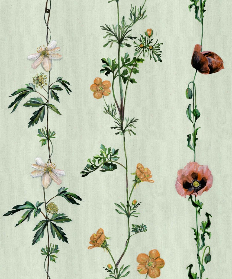 Picture of Climbing Flowers Melon - 9500062N