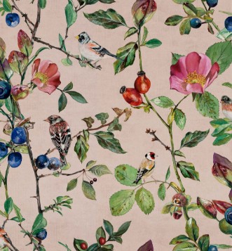 Bild på Goldfinch Song Blush - 9500032N