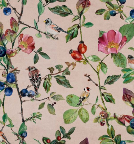 Picture of Goldfinch Song Blush - 9500032N