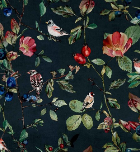 Picture of Goldfinch Song Night - 9500033N