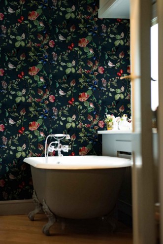 Bild på Goldfinch Song Night - 9500033N