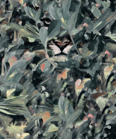 Picture of Hidden Puma Night - 9500013N