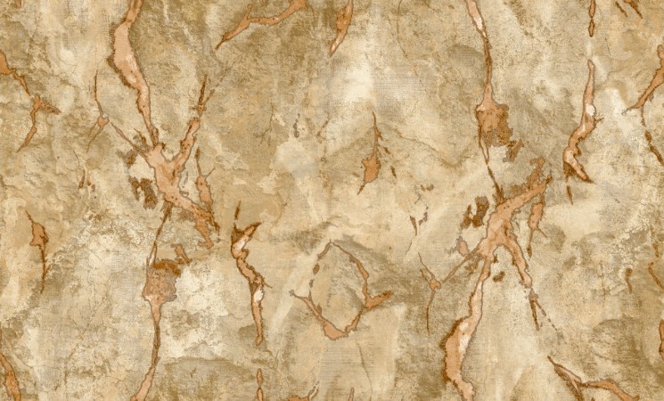 Picture of Moderna - 49352