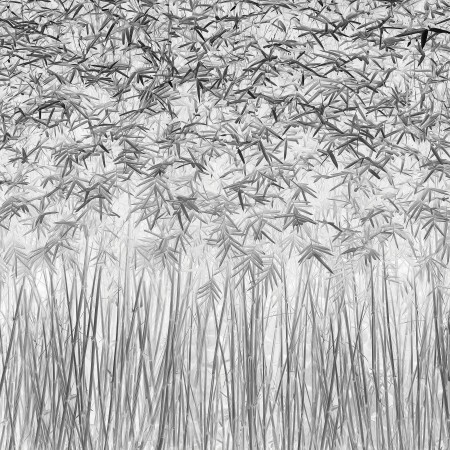 Picture of Parallelism