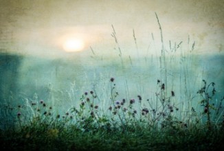 Immagine di Autumn sunrise