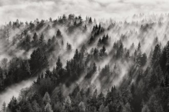 Εικόνα της Sundance No 11