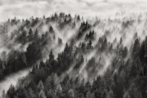 Sundance No 1 photowallpaper Scandiwall