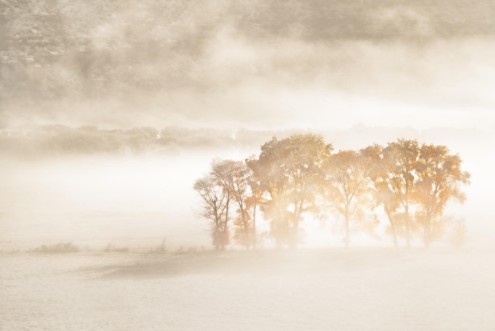Image de Autumn Dreams