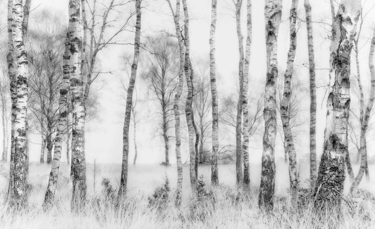 Bild på Black and white