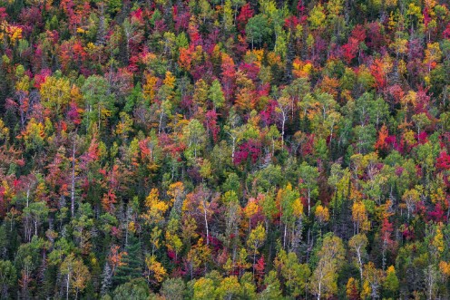 Color palette photowallpaper Scandiwall