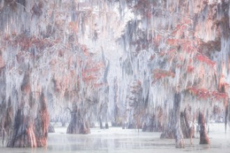 Immagine di Atchafalaya River