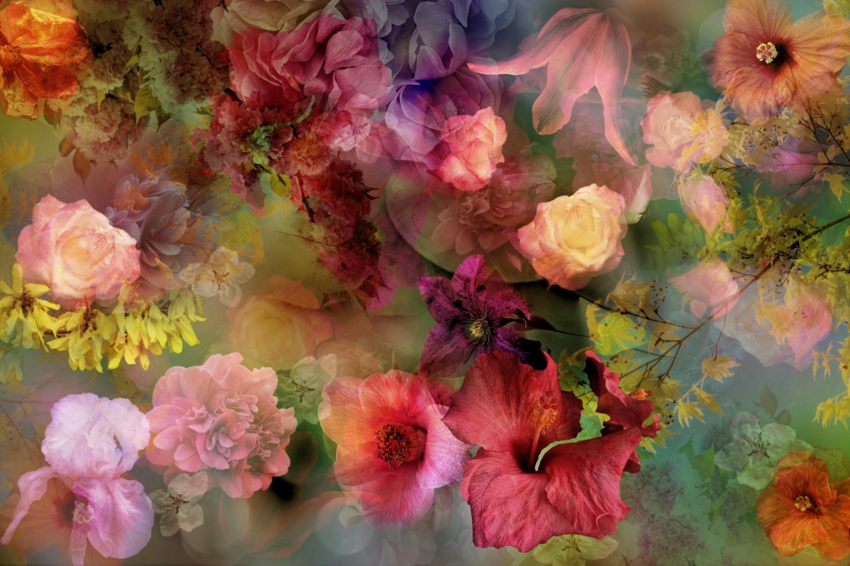 Picture of Memory of a faraway garden