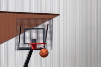 Passed the basket paveikslėlis