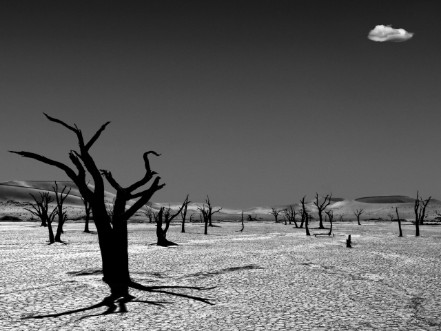 Afbeeldingen van The cloud from the dead