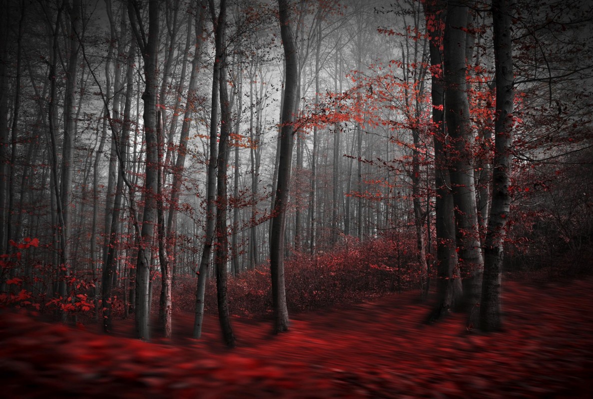 Picture of Bloody River