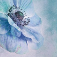 Kép Shades of Blue