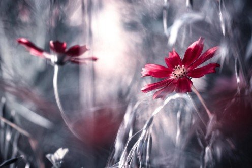 Снимка на Seduction games