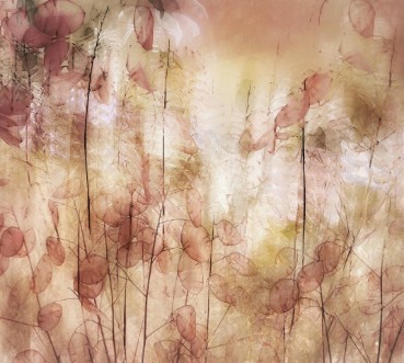 Picture of Frøbelger