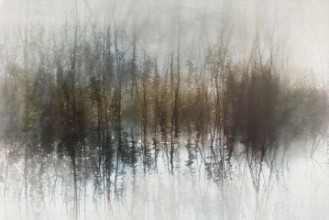 Afbeeldingen van Day dreams