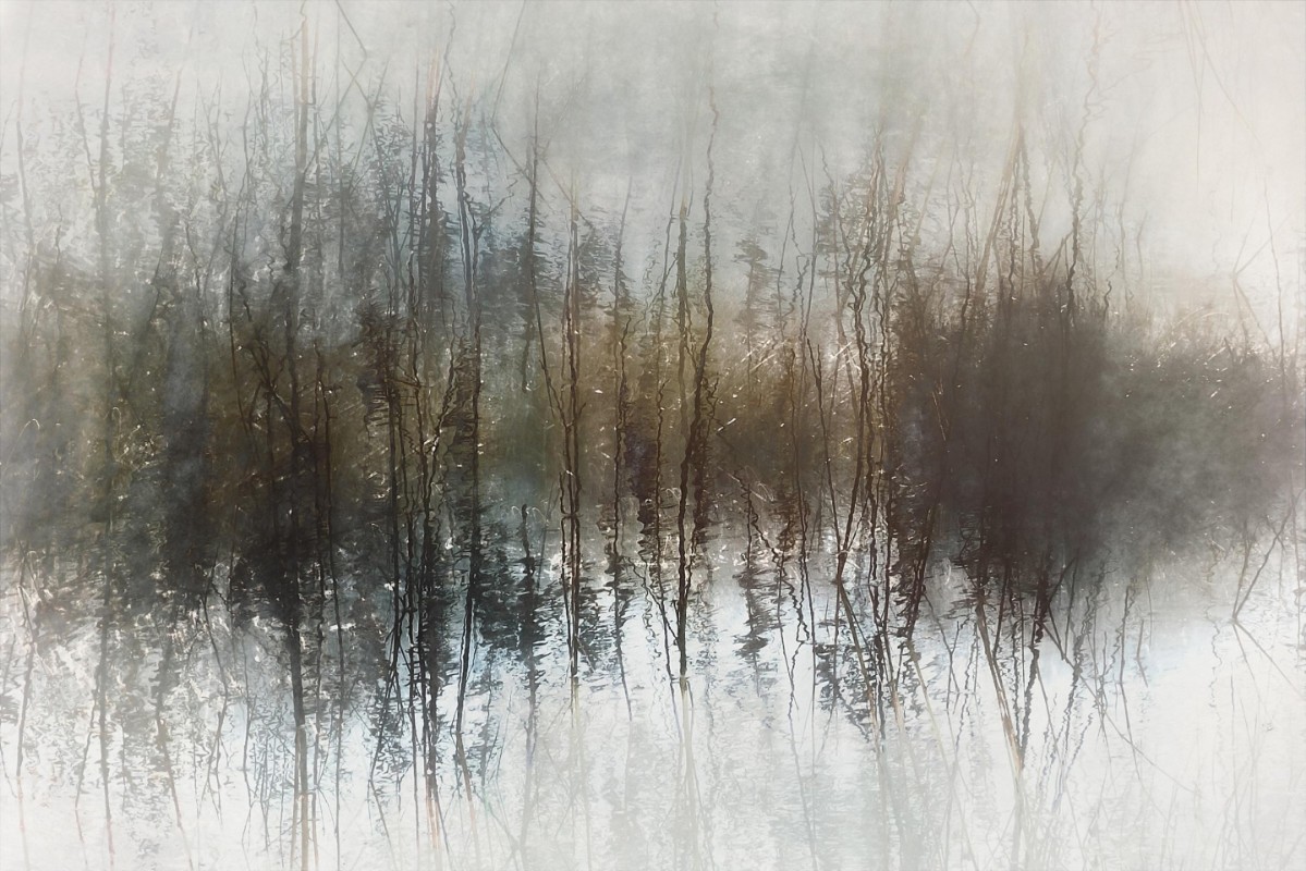 Afbeeldingen van Day dreams